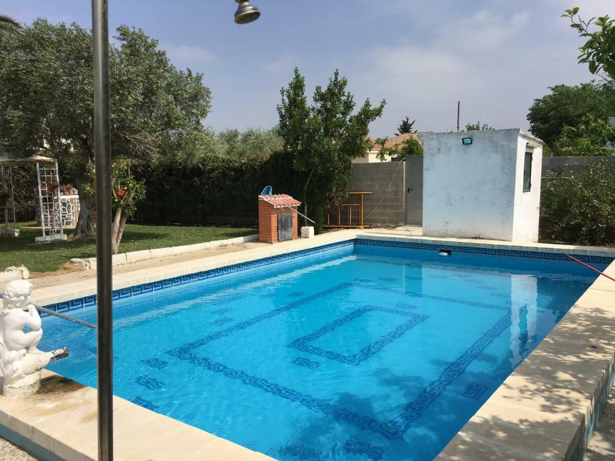 Chalet Piscina Jakuzzi Sevilla Асьенда-де-Тарасона Экстерьер фото